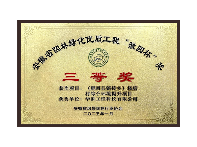 承德荣获2025“徽园杯”奖三等奖